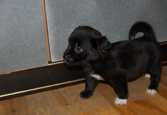 Įkrauk.lt nuotrauka