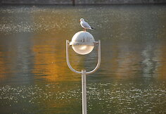 Namur, Belgija