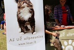 Festivalyje &bdquo;Bliuzo naktys&ldquo; 