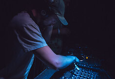 &bdquo;Revolution Festival&ldquo; akimirka