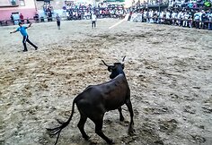 Los Arkosas