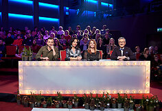 „Muzikinės kaukės“ finalas