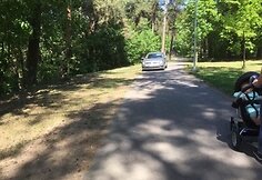 „CityBee“ priklausantis „Volkswagen“ važinėjo Panemunės šilo pėsčiųjų takais