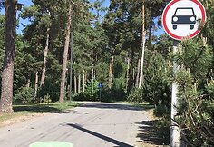 „CityBee“ priklausantis „Volkswagen“ važinėjo Panemunės šilo pėsčiųjų takais