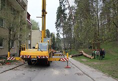 Pu&scaron;is apgriovė vilniečių namą