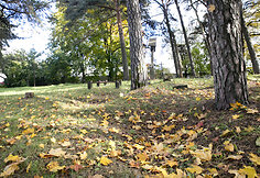 Vir&scaron;uli&scaron;kių kapinės