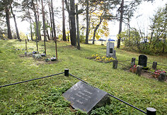Vir&scaron;uli&scaron;kių kapinės