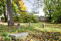 Vir&scaron;uli&scaron;kių kapinės