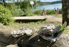 Itin populiarus Gėlos ežeras &scaron;alia Vilniaus slepia pavojus