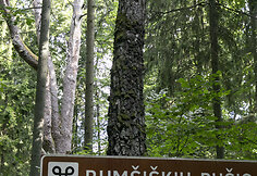 Rum&scaron;i&scaron;kių mi&scaron;ko pu&scaron;is