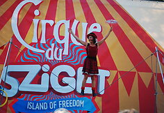 Instaliacija &bdquo;Žiemos paveikslas&ldquo;  festivalyje &bdquo;Sziget&ldquo; gerbėjų dėmesio