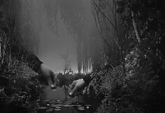 Hans op de Beeck, &bdquo;Režisuojant tylą&ldquo;, 2013