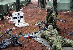 „Geležinio kardo“ pratybų dalyviai atvyksta į Lietuvą