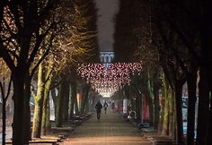 Kaunas puo&scaron;iasi Kalėdoms: sužibo keli kilometrai girliandų ir tūkstančiai dekoracijų