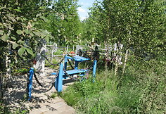 Kapinės