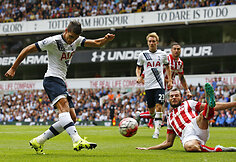 Erikas Lamela