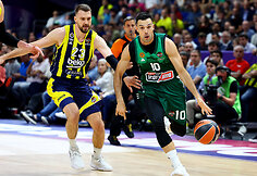Stambulo &bdquo;Fenerbahče&ldquo; &ndash; Atėnų "Panathinaikos" 
