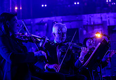 Andriaus Mamontovo koncerto akimirka 