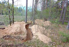 Kandidatų į Lietuvių legioną atranką ir apmokymai Lietuvoje  / 2023  m. gegužė