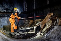 LERT komandos kinologai ir gelbėtojai treniruojasi po griuvėsiais ie&scaron;koti i&scaron;gyvenusių žmonių