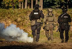 Specialiosios jungtinės pajėgos - ARAS, ORKA ir KOVAS 