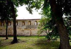 Vilniaus gynybinė siena