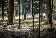 I&scaron;niekintos ir apleistos istorinės kapinės Varėnos rajone