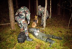 Nelegalų sulaikymo operacija Baltarusijos pasienyje