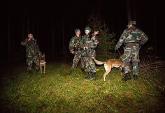 Nelegalų sulaikymo operacija Baltarusijos pasienyje
