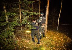 Nelegalų sulaikymo operacija Baltarusijos pasienyje