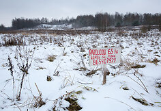 Vėliučionių žydų žudynių vieta