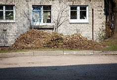 Pernykščių lapų krūva sostinės Adutiškio gatvėje