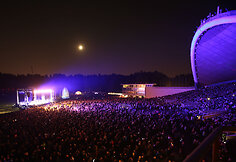 Festivalio „Vilniaus fejerija 2017“ akimirka