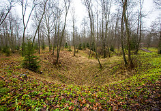 Biržų karstinis regionas