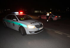Girtą vairuotoją sustabdė tik ežys