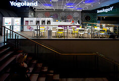 Yogoland