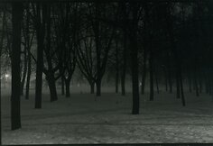 Vilniaus Analoginės fotografijos ir kino festivalis