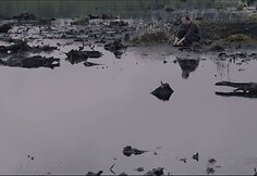 „Nemigos užrašai“ (rež. Antons Barons)