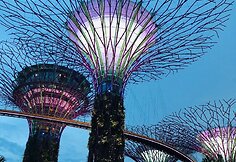 „Gardens by the Bay“