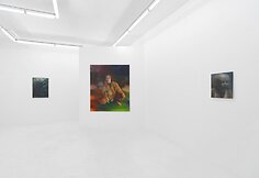 Lietuvių tapytojos Rūtenės Merk pirmoji personalinė paroda &bdquo;Sprites&ldquo; Niujorko galerijoje &bdquo;Downs & Ross&ldquo;