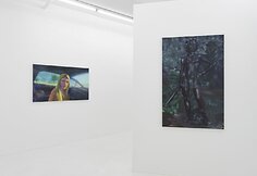 Lietuvių tapytojos Rūtenės Merk pirmoji personalinė paroda &bdquo;Sprites&ldquo; Niujorko galerijoje &bdquo;Downs & Ross&ldquo;