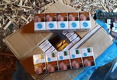 Sulaikytos kontrabandinės cigaretės