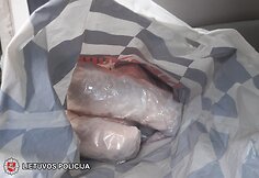 Sulaikyti įkalčiai