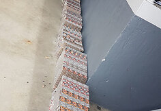 Sulaikytas kontrabandos krovinys