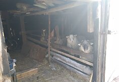 Narkotikų prekybos vieta