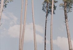 Juliaus Fedaravičiaus nuotrauka
