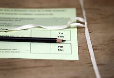 Airijoje istorinis referendumas dėl tos pačios lyties santuokų