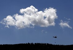 Šveicarų kariai gelbsti nuo kaitros kenčiančioms karvėms