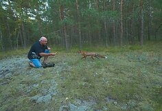 Fotografas Ričardas Anusauskas netoli Nidos susidūrė su lapinu