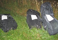 Surinktų kanapių mai&scaron;ai